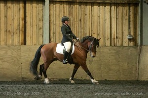 Isis Dressage Crown Farm Show 29th April 2012